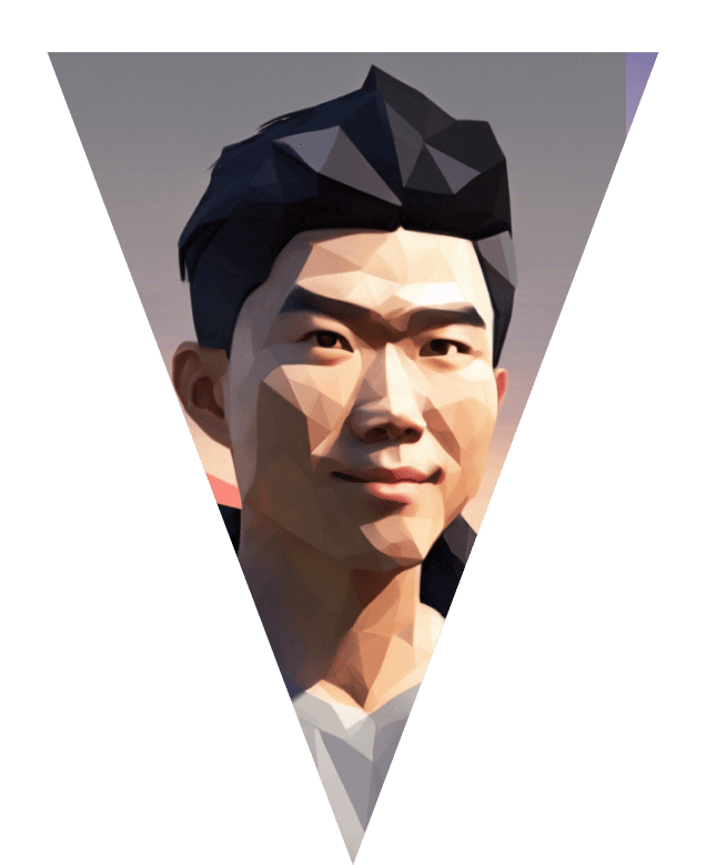 Low poly hero picture